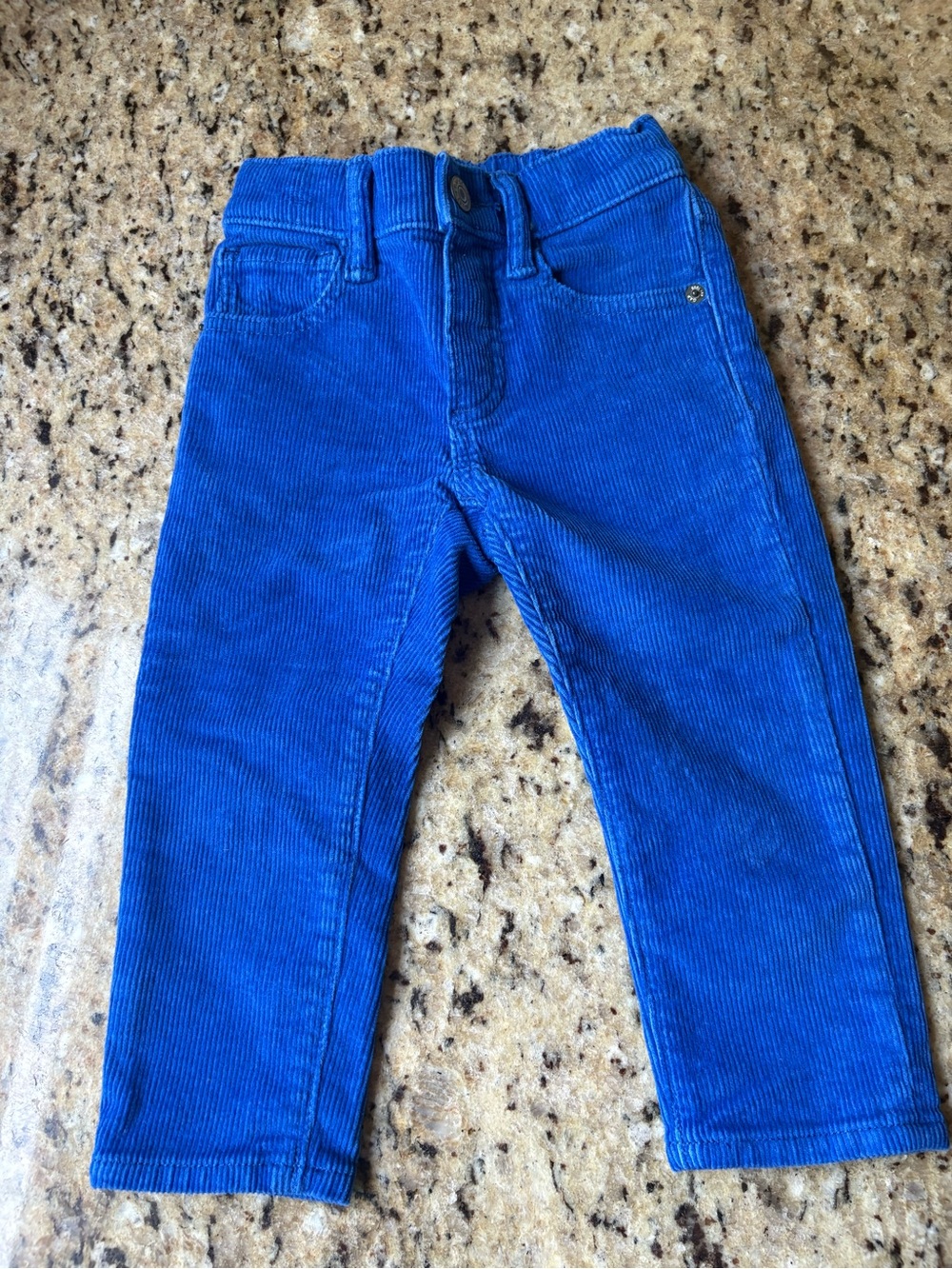 NWOT GAP Boys Corduroy Pants - Royal Blue- Size 2T